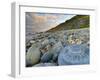 Lyme Regis, a Gateway Town To UNESCO World Heritage Site of Jurassic Coast, Large Ammonite Fossil-Alan Copson-Framed Photographic Print