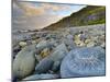 Lyme Regis, a Gateway Town To UNESCO World Heritage Site of Jurassic Coast, Large Ammonite Fossil-Alan Copson-Mounted Photographic Print