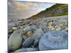 Lyme Regis, a Gateway Town To UNESCO World Heritage Site of Jurassic Coast, Large Ammonite Fossil-Alan Copson-Mounted Photographic Print