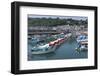 Lyme Regis Harbour and Town, Dorset, England, United Kingdom, Europe-Peter Groenendijk-Framed Photographic Print