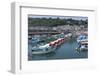 Lyme Regis Harbour and Town, Dorset, England, United Kingdom, Europe-Peter Groenendijk-Framed Photographic Print