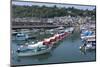 Lyme Regis Harbour and Town, Dorset, England, United Kingdom, Europe-Peter Groenendijk-Mounted Photographic Print