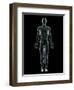 Lymphatic System, Artwork-SCIEPRO-Framed Premium Photographic Print