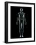 Lymphatic System, Artwork-SCIEPRO-Framed Photographic Print