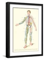 Lymphatic System-null-Framed Art Print