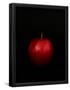 Essential Black