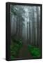 Essential Black