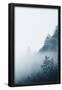 Essential Black