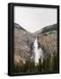 Essential Black