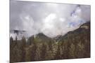 Wood Mount