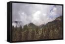 Canvas Black