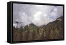 Canvas Black