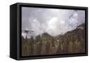 Canvas Black