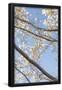 Essential Black