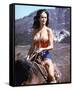 Lynda Carter-null-Framed Stretched Canvas