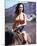 Lynda Carter-null-Mounted Photo