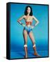 Lynda Carter-null-Framed Stretched Canvas