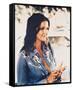 Lynda Carter-null-Framed Stretched Canvas