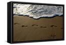 Framed Canvas