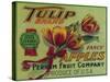 Lynden, Washington - Tulip Apple Crate Label-Lantern Press-Stretched Canvas
