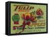 Lynden, Washington - Tulip Apple Crate Label-Lantern Press-Framed Stretched Canvas