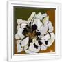 Gramercy White
