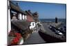 Lynmouth, Devon, England, United Kingdom-Cyndy Black-Mounted Photographic Print