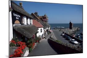 Lynmouth, Devon, England, United Kingdom-Cyndy Black-Mounted Photographic Print