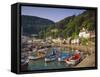 Lynmouth, Devon, England-John Miller-Framed Stretched Canvas