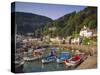 Lynmouth, Devon, England-John Miller-Stretched Canvas