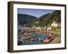 Lynmouth, Devon, England-John Miller-Framed Photographic Print