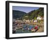 Lynmouth, Devon, England-John Miller-Framed Photographic Print