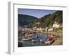 Lynmouth, Devon, England-John Miller-Framed Photographic Print