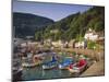 Lynmouth, Devon, England-John Miller-Mounted Photographic Print