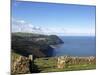 Lynmouth From Countisbury, Exmoor, Somerset, England, United Kingdom, Europe-Jeremy Lightfoot-Mounted Photographic Print