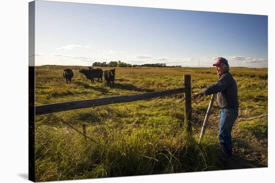Lynn Ballagh Closing Gate on His Cattle Ranch-Cheryl-Samantha Owen-Stretched Canvas