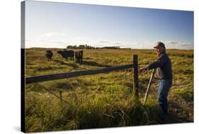 Lynn Ballagh Closing Gate on His Cattle Ranch-Cheryl-Samantha Owen-Stretched Canvas