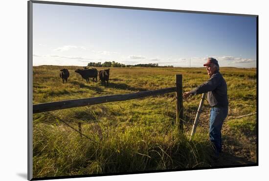 Lynn Ballagh Closing Gate on His Cattle Ranch-Cheryl-Samantha Owen-Mounted Photographic Print