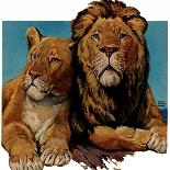 "Lion Couple," Saturday Evening Post Cover, March 19, 1932-Lynn Bogue Hunt-Giclee Print