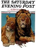 "Black Panther," Saturday Evening Post Cover, August 13, 1932-Lynn Bogue Hunt-Mounted Giclee Print