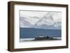 Lynn Canal Southeast Alaska. Chilkat Mountains and Eldred Rock Light-Michael Qualls-Framed Photographic Print