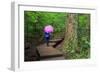 Lynn Canyon Park, Vancouver, British Columbia, Canada, North America-Richard Cummins-Framed Photographic Print