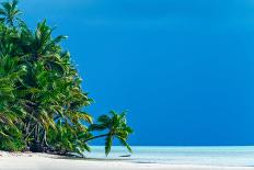 Palm trees edging, Scout Park Beach, Cocos (Keeling) Islands, Indian Ocean, Asia-Lynn Gail-Photographic Print