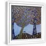 White Frame