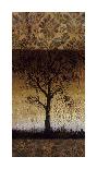 Oak Tree II-Lynn Kelly-Stretched Canvas