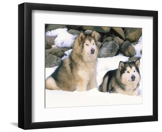 Premium Photographic Print, , large
