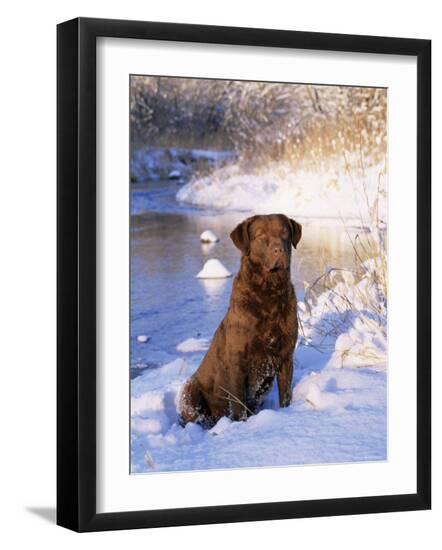 Photographic Print, , large