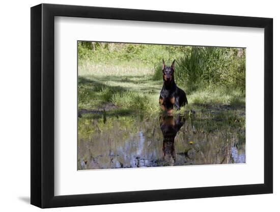 Photographic Print, , large