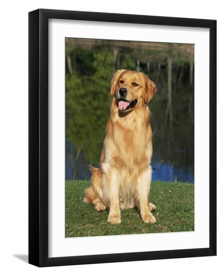 Photographic Print, , large