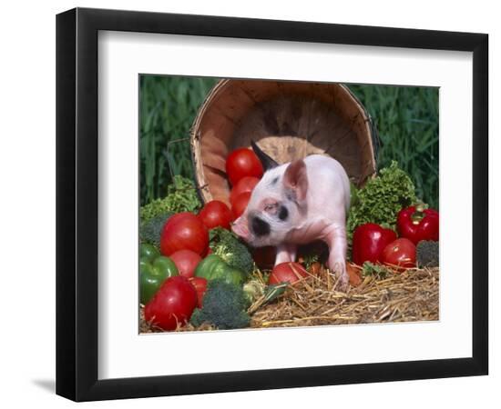 Premium Photographic Print, , large